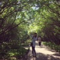 A9d4259c1bce5a410f503987d38e9b469c22e964