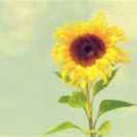 16b1411936bbc4237bf14d2f9cee32ee044fd6e5