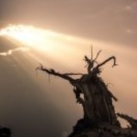 671f73283081e8a0d797f65f87bdf54bb8b90006