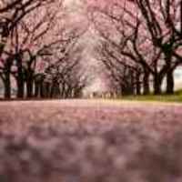 Fae07be599e32a967aabaf1e308ed49760f7a5de