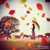 5f70400bf27b0fa3df7ac627c5d8aa242fd65ac9