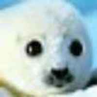 44bb6eab7327baa6a63d480c4233616c635bb456