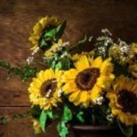 4c2e06f5d05d4143c624b9c1763fac2338495256