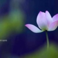 0d6226e4059d0407bf6ff8f29b9a46b9c760e3ad