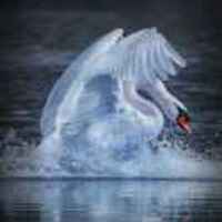 4bd20c78a2e0d5ef3d2cecdddc97610aef833106