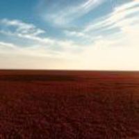 3e9aac1e8cec2bd98d25af76c77a9b5506361ec3