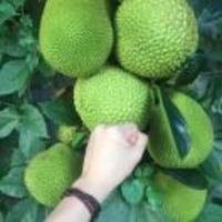 D4b077722de109dc87da8c32eb514a10e7e36c68