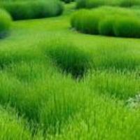 8afcdc114901080eab492874bd4ab3ac46cc97cd