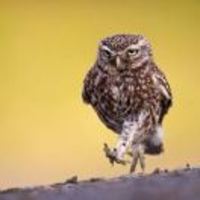 D5449f39e4720476cec63d607e79bc908933c9fd