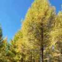 09d9479573327adbf25be5b270892fc52daa28ea