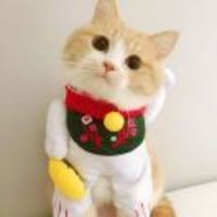 F6888596c4e2055132410ef8d8b079530bdf7380