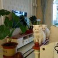 13617dcc965e80b8ac27a27a68bd1461bb7d7044