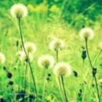 238f18458bddbe80aba02f0636ccb3201910bf00