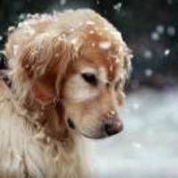 Ecc9dc179af99f7aa738aa631a3e9ee81dea78d6