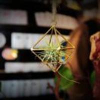 13c527c7b7a6aac90c2c5b125f8abffb4b087c40