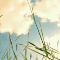 Efbaa9b152d81c55f40763c79a1b780cecfe3058