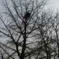 F78066b97fcad32af3ca2330f0d39daa794cefa6