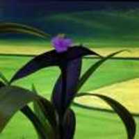 B27a7f6c7d798e5b9d36af3708282d2692f0422b