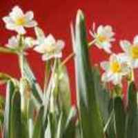 C9c98b07588a6ca107b1141cad52e8742c8cbaab