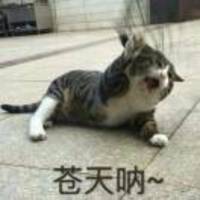 6b468d8851cd21bd1e156d945d998cdcc5304433