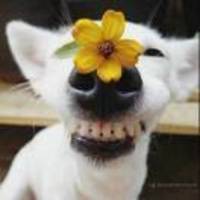 C49d30dddc30484942aedd7fad5b3279eb3f4c46