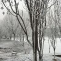 569dcf0f3cafd59dac4585e27a20a30c98e44ad3