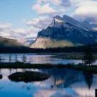 Cf983158d88c042a1bc301356a98e4bfde9a8cd4