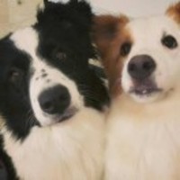 A75ca19c07218b9429a5c8a6e3e3001f073e955e