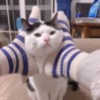 De6484e4c64e53a98d77dbd1a054daf4c7f2c250