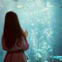 Cb930591a4ab848d934109d53cb73a9dacefb27f