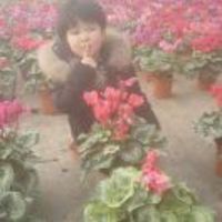 3342d60912ac4e3fe9de3189f6afd118c83a07e2