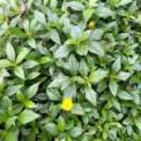 31e0763f64b5659bd0116acb6993d1ed070d1a49