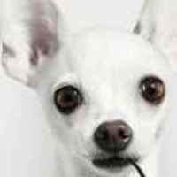 Dfb5707ab7a6e9c2c9a1004721983918f96a350c