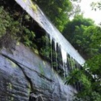 D9a39eec653c6dd2d201f6f50b2c5390f2fd93bd