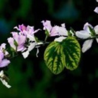 Ef5e580861b5d8304e0ac6b3c1bfc4ff85c42c48