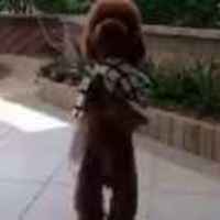 9bc4b3ea5156d672a8d871b9875ee7cc205fbf7b