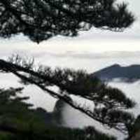 850c46511153eb4c35ecedcc867b7bc167ab5d29