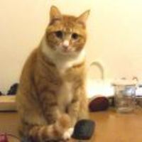 2b77f7fd0e794e19dd6a071d653785a01142f0f6