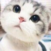 5a0b7986ca0811bae19f0efeb233f81cddf1508f