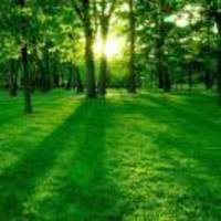 C51a92d54be8d48e8b91d11b23cdcd86a2df5d16