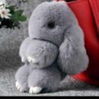 Dd4347d9cf6b74aa4932e82528911f0e6d2ff3d3