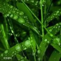 0ca4ddb1964767987d5e9aabf98131b0d9550649