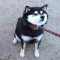 B418ddf05dc061691ca99cdb885968633496eba3