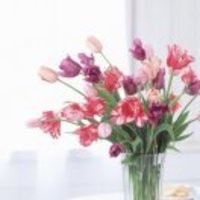 D1cbb76c26051daded3bda00f7f5c2654ee27aef