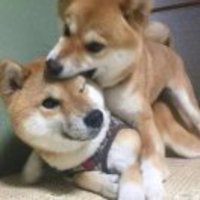 A86f9a38764e19f1b95f880568cc6a6180cced46