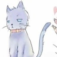 9281e0198cc471809186f308504e0ed07eb04d60