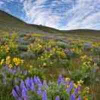 238d7e578ed221f1cecb41d1dd29efbfe5d0584b