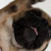 1bbad370c142cf1129f0412ca90393088c67fdf3