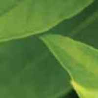 C79bf248d31687334bb4076fb2db25e51faedf90