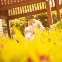 328a3e8e44e7259478ed2509427235152ca66a69